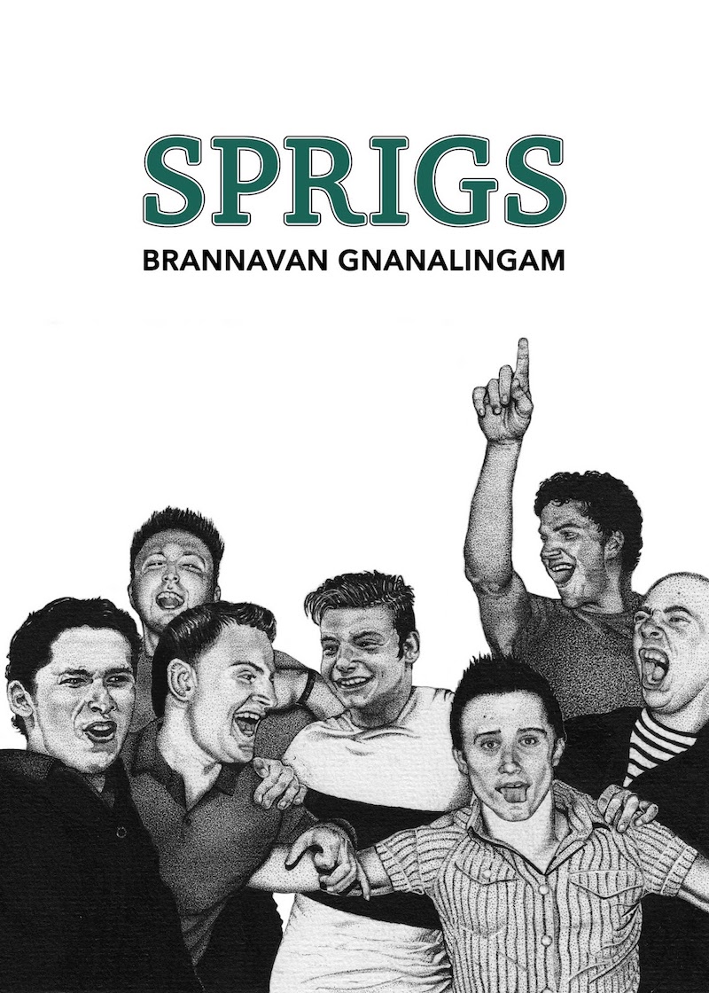 Sprigs cover