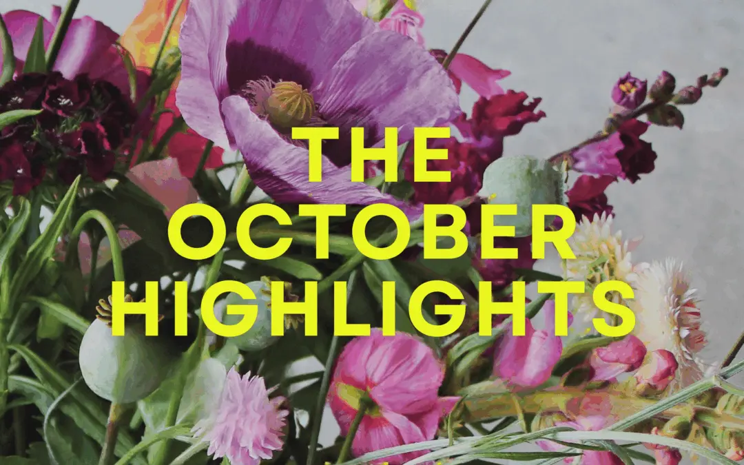 BookHub’s October Highlights