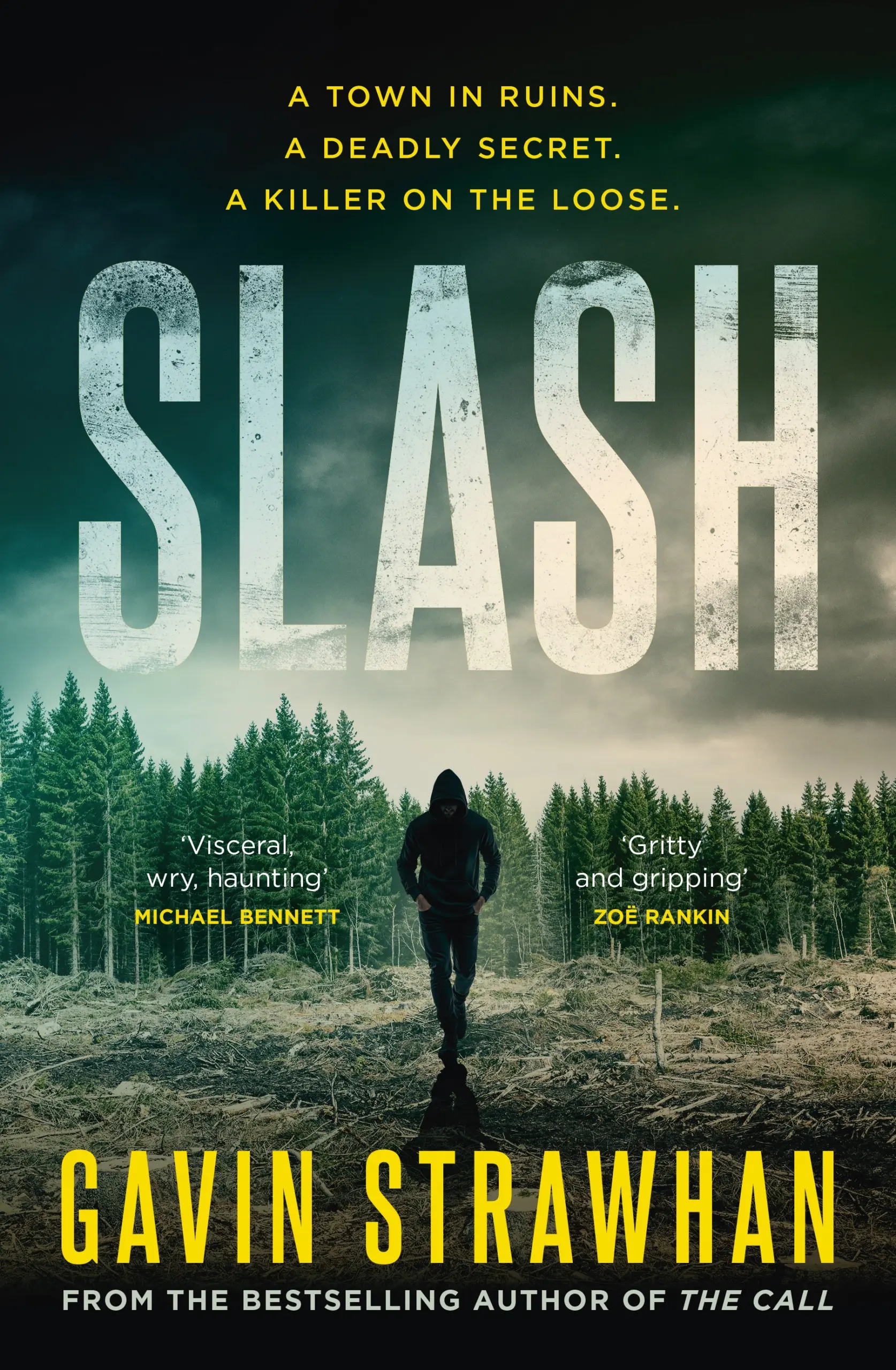 Shadow Thieves book cover