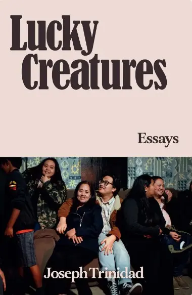 My Husband's Wife book cover