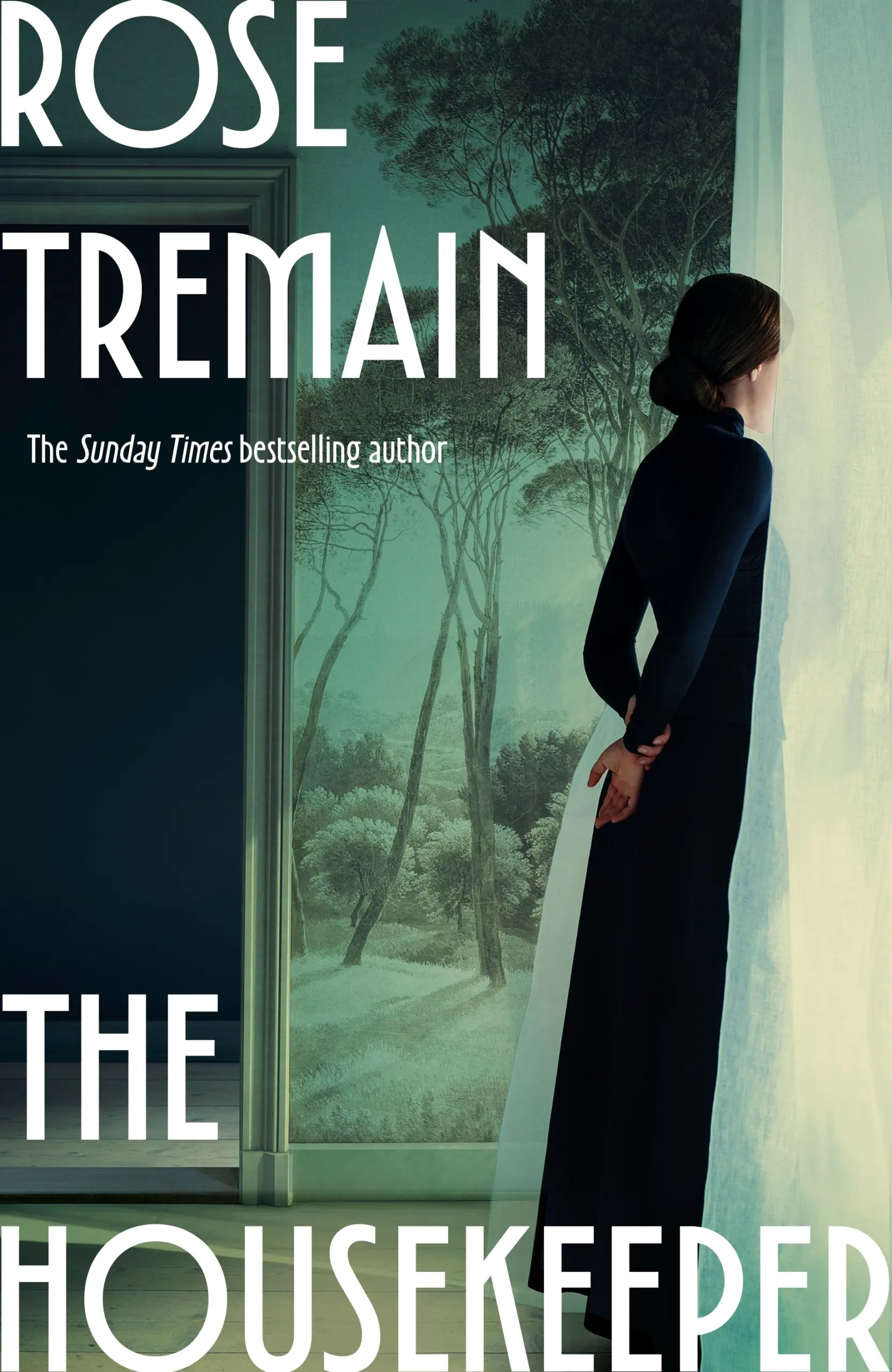 Shadow Thieves book cover