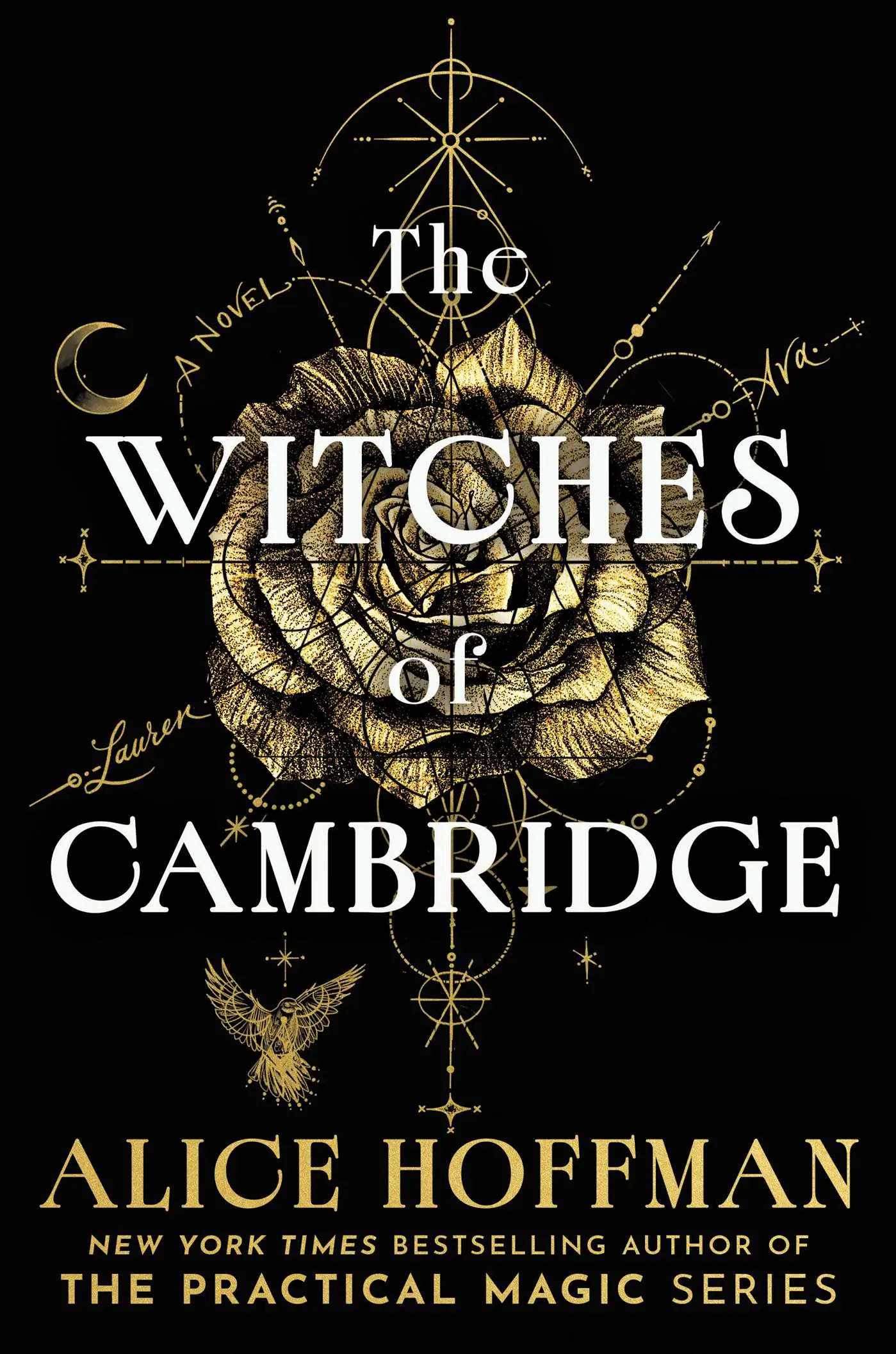 Shadow Thieves book cover